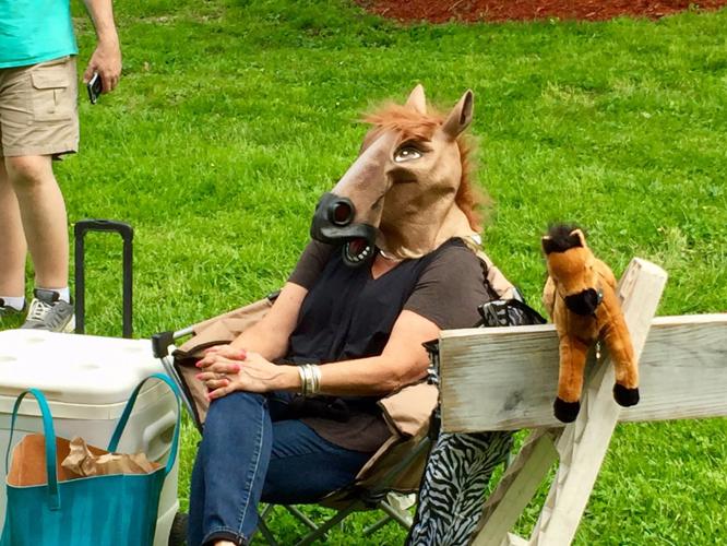 Barnstable Brown 2019 - Joel Schipper - Fan.jpg