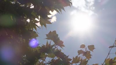 Heat safety tips 7-26-21