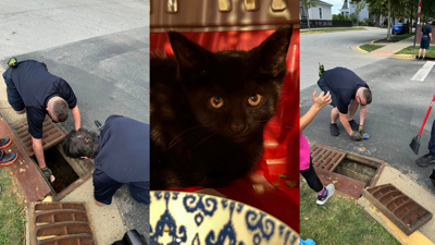 Anchorage Fire & Rescue kitten rescue