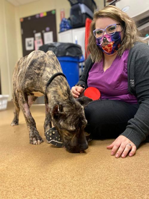 KHS - ETHAN - 2-11-2021 3.jpg | | wdrb.com