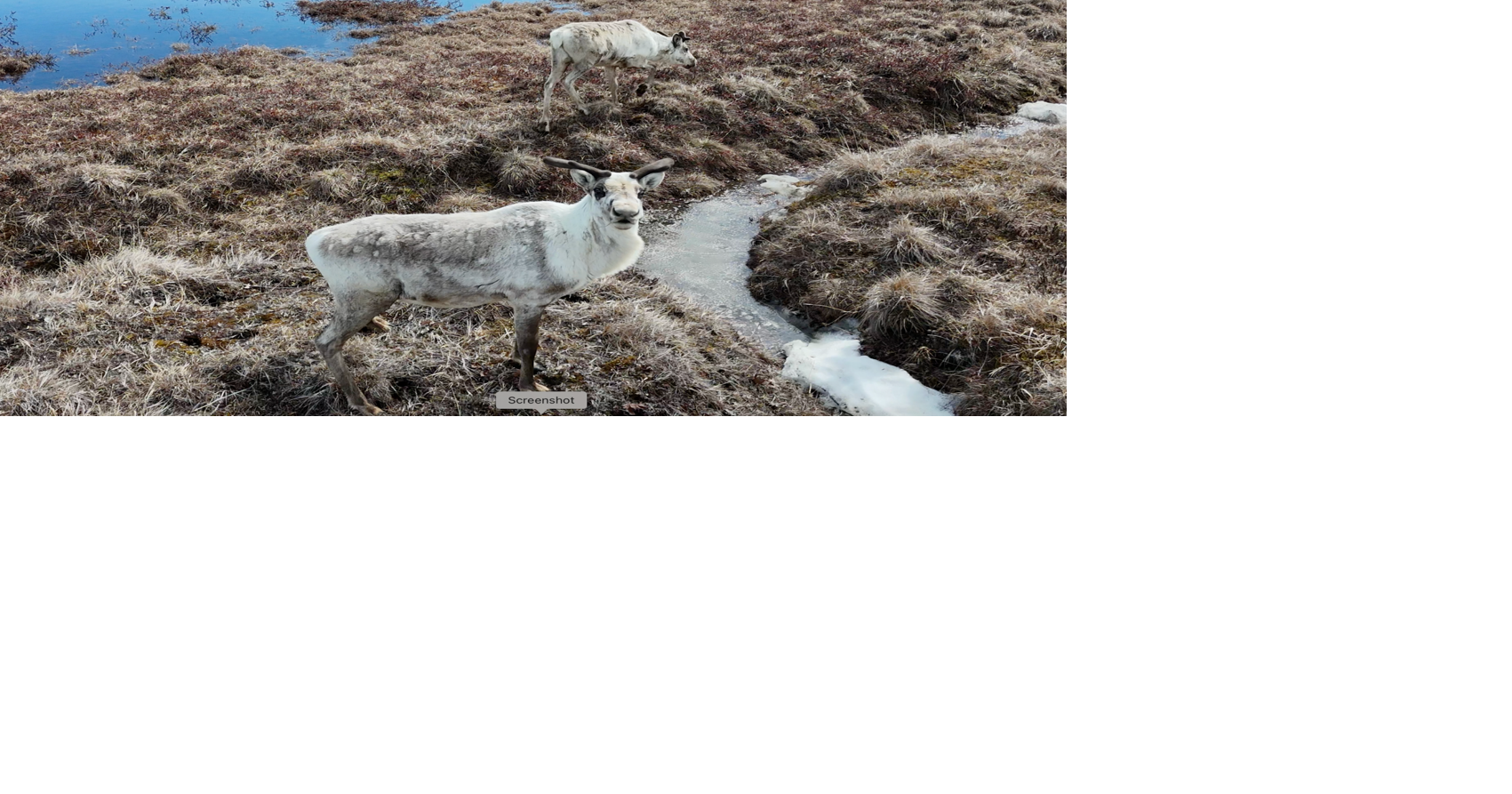 NASA Study Reveals Hidden Stage of Arctic Freeze