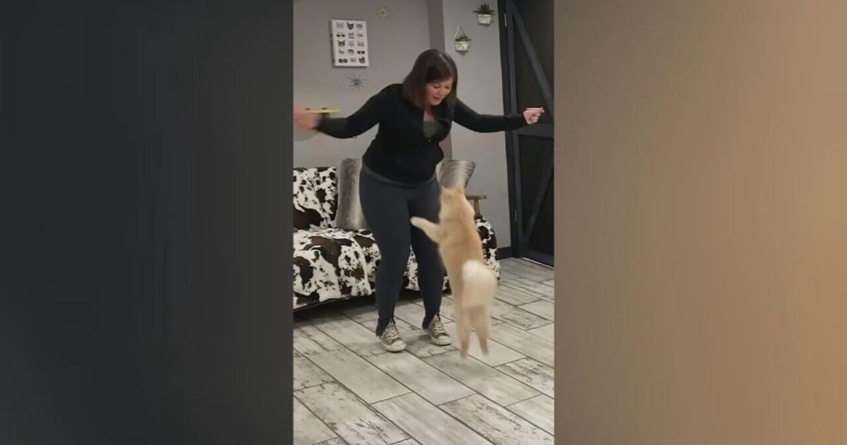 Jump roping cat sets new Guinness record | Wdrb-video | wdrb.com