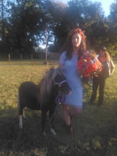 GERMANTOWN MINI HORSE 3 4.jpg