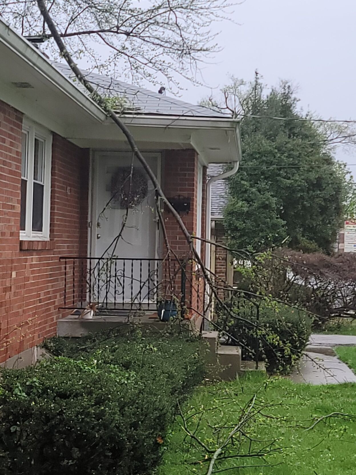 FREYA DENALTA - STORM DAMAGE - TAYLORSVILLE ROAD - APRIL 5, 2023 2.jpg