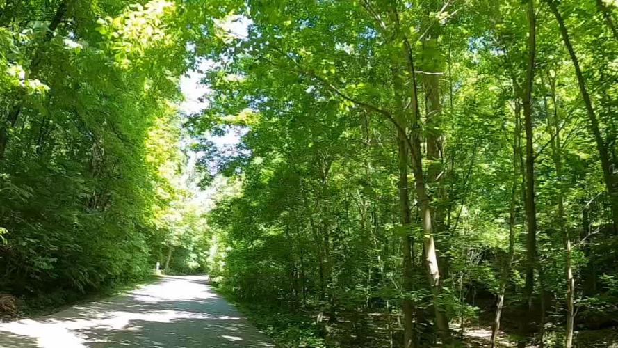 Cherokee Park - Louisville