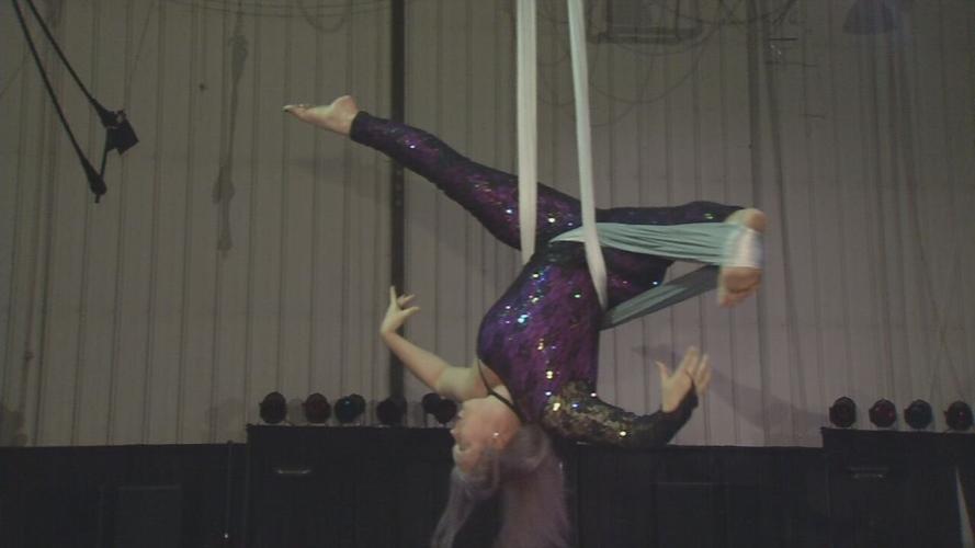 TURNERS CIRCUS IS BACK.jpeg