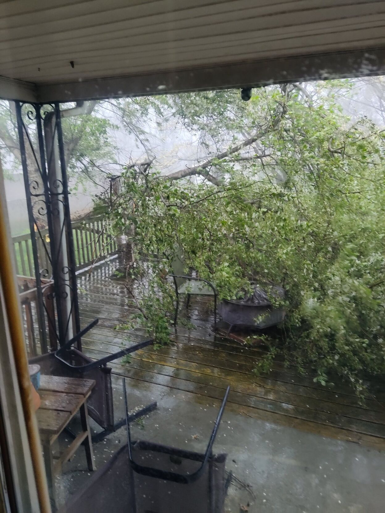 WILLIAM ZAVORSKI - STORM DAMAGE - LOUISVILLE - APRIL 5, 2023 2.jpg