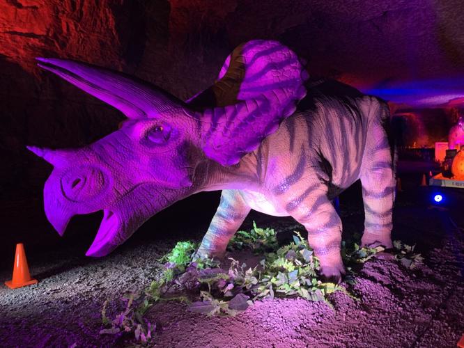 DINO SAFARI - MEGA CAVERNS 4-13-2021  (10).jpg
