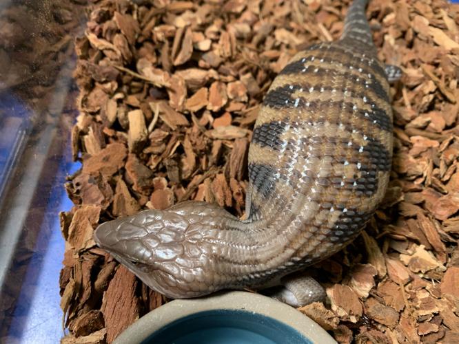 Kentucky Science Center Spooky Halloween