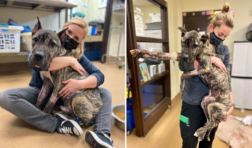 KHS - ETHAN BEFORE AND AFTER.jpg