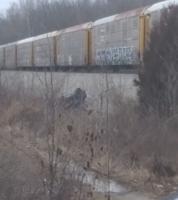 Woman dead, 2 seriously injured after train strikes vehicle in Austin, Indiana