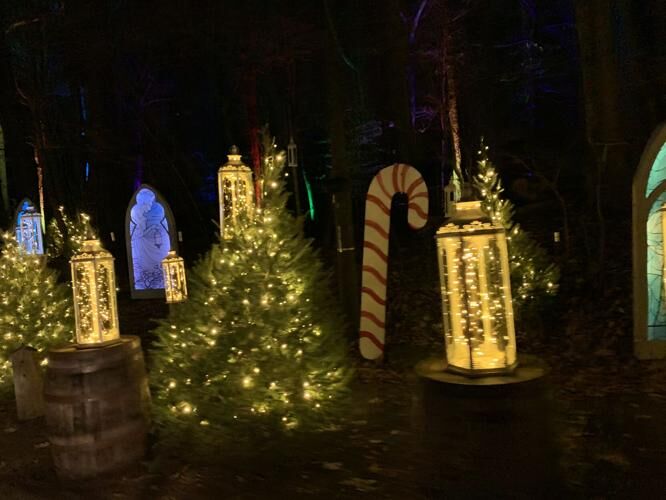 File: Winter Woods Spectacular