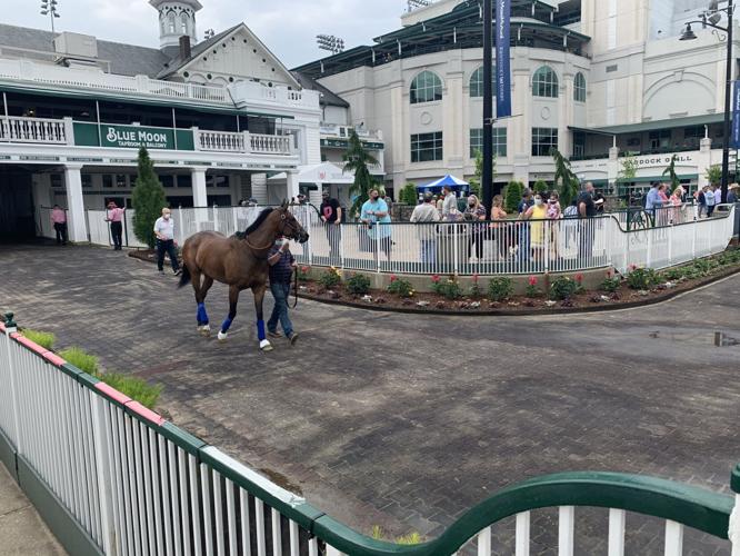 Horses enter paddock for first race at Churchill Downs Wednesday 4-28-21 (3).jpg