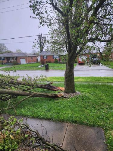 ALLEN PRUNTY - STORM DAMAGE - SUNNY VALE WAY - APRIL 5, 2023 2.jpg