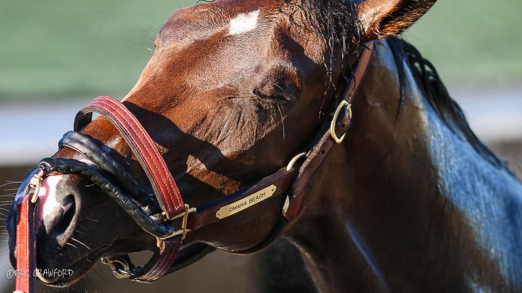 Crawford Omaha Beach Stays Atop Derby Media Poll As