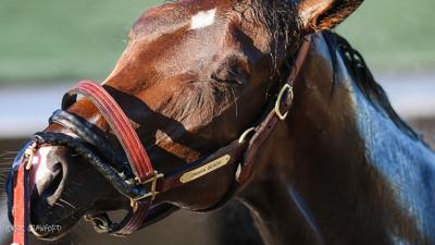 Omaha Beach - Derby 4-22-19