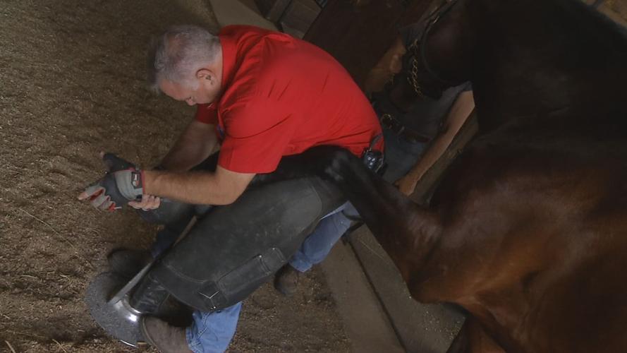 Equine blacksmith, dentist explains task of caring for a derby horse