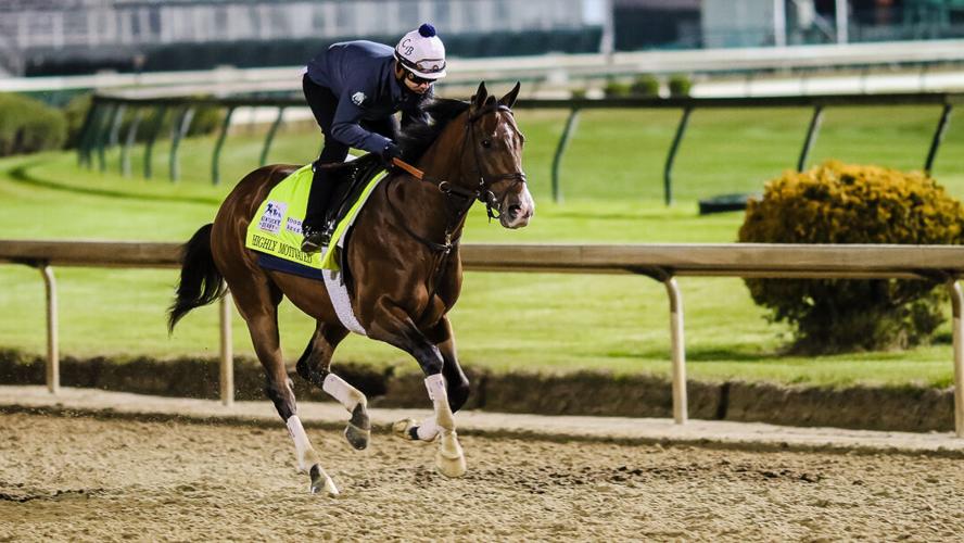Meet the five most expensive starters in this year's Kentucky Derby