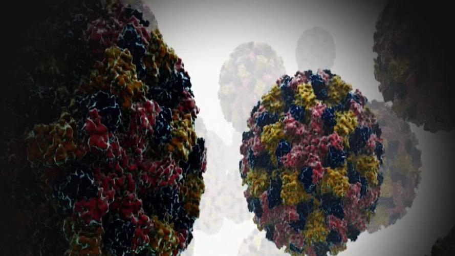 Norovirus