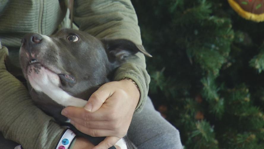 SANTA PICS WITH PETS 12-15-19.jpg