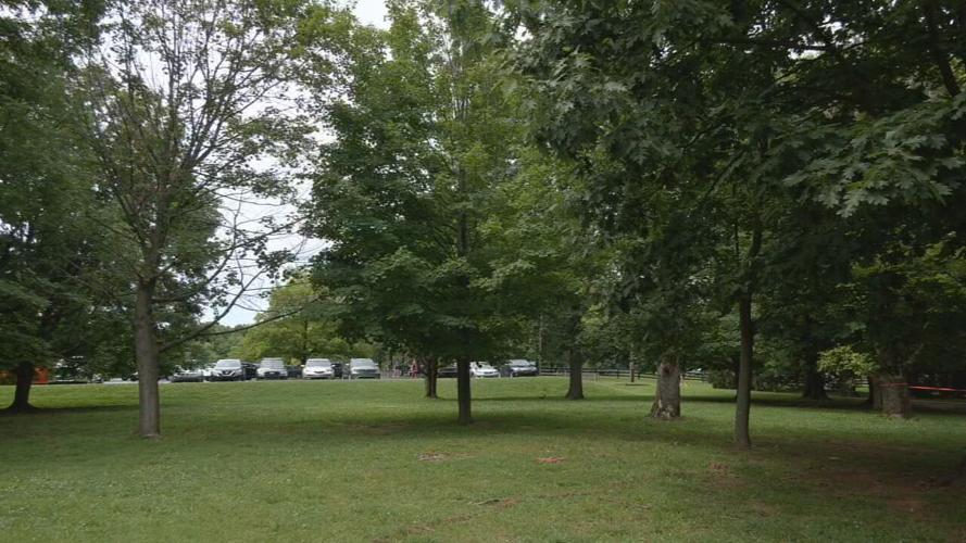 Tom Sawyer Park (4).jpeg