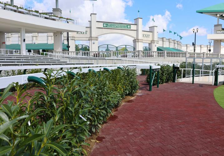 Bushes near Paddock area at Churchill Downs.JPG