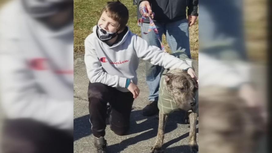 Family reunited with Ethan the dog (3/02/21)