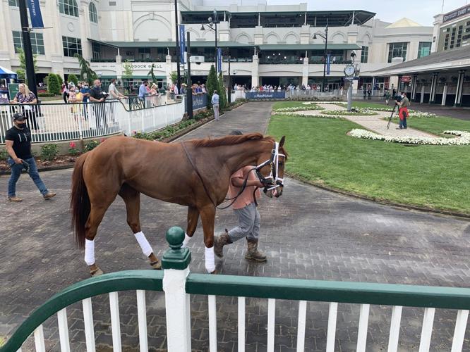 Horses enter paddock for first race at Churchill Downs Wednesday 4-28-21 (2).jpg
