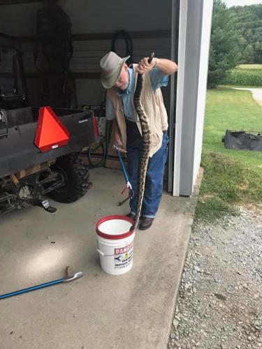 Rattlesnake found in Seymour, Indiana garage in Aug. 2019