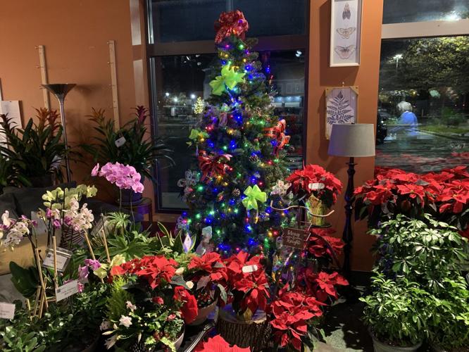 WESTPORT VILLAGE ALL IS BRIGHT.jpg