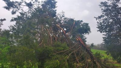 KERRI POTEAT - STORM DAMAGE - CLERMONT - APRIL 5, 2023 2.jpg