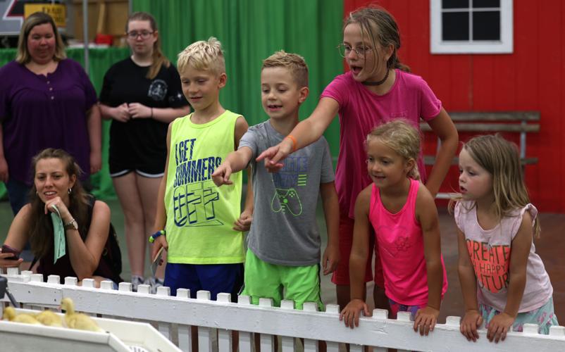 Children pointing at ducks