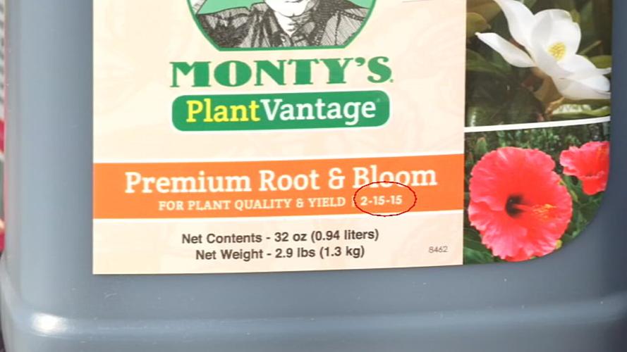 Fertilizer for roses