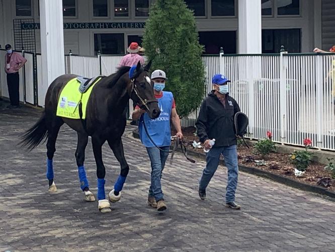 Horses enter paddock for first race at Churchill Downs Wednesday 4-28-21.jpg