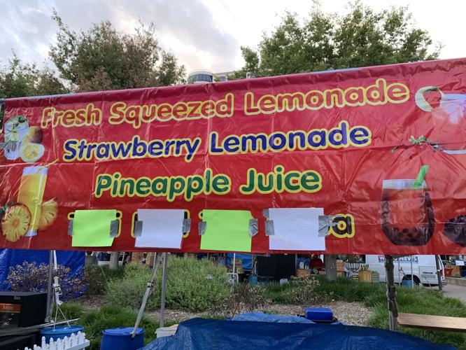Worldfest 2019 opens - Aug. 30, 2019-11.jpg