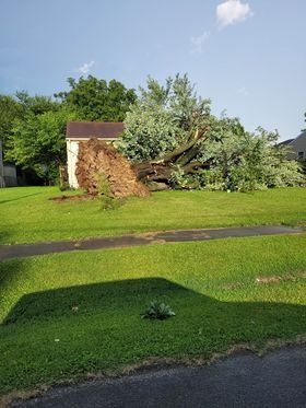 Tree falls onto house.jpg