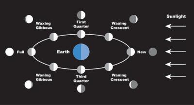 Phases of the Moon