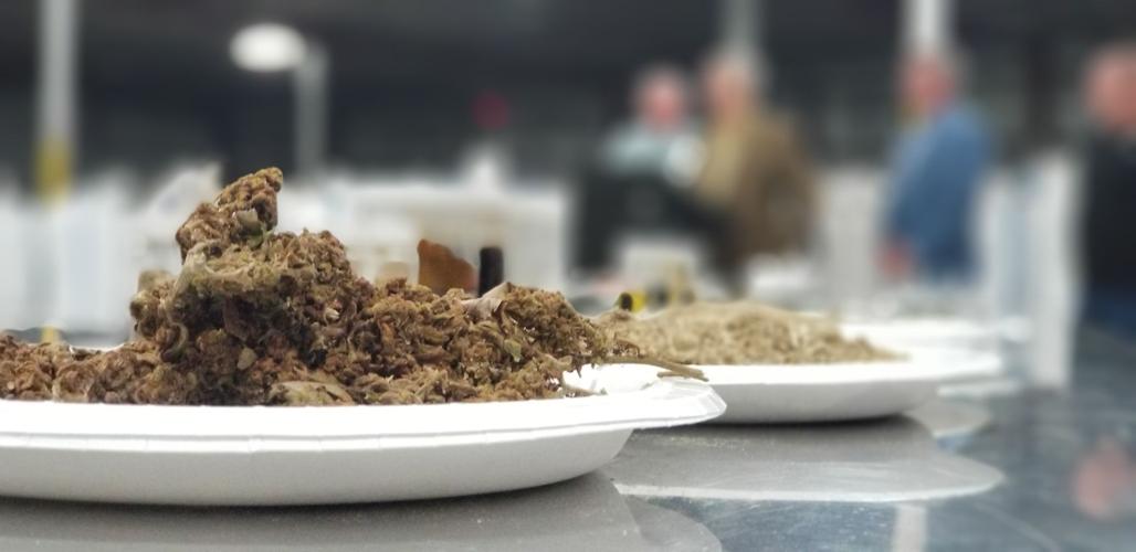 HEMP - CBD PRODUCTS - MCCONNELL PRESSER 7-2-19  - TOM ROUND (3).jpg