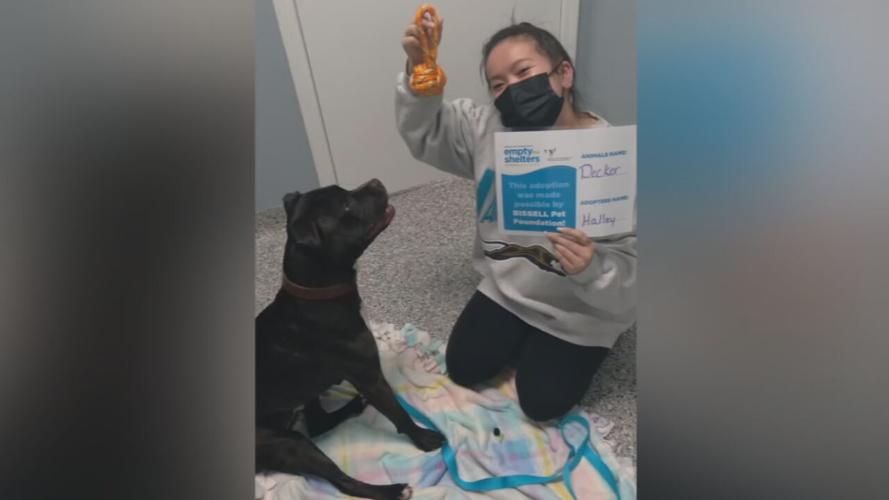 Pet adopted during Kentucky Humane Society's Empty the Shelter event