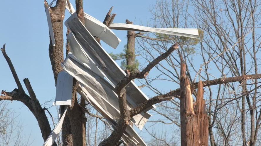 Pieces of homes are wrapped around tree branches after Bowling Green tornado. Image from Dec. 13, 2021