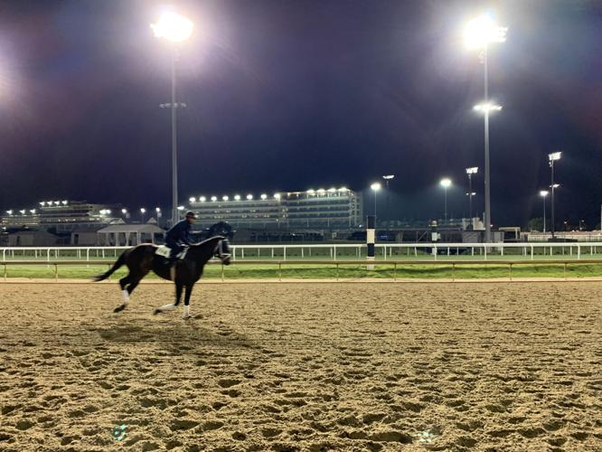 horses racing past the kitchen.jpg
