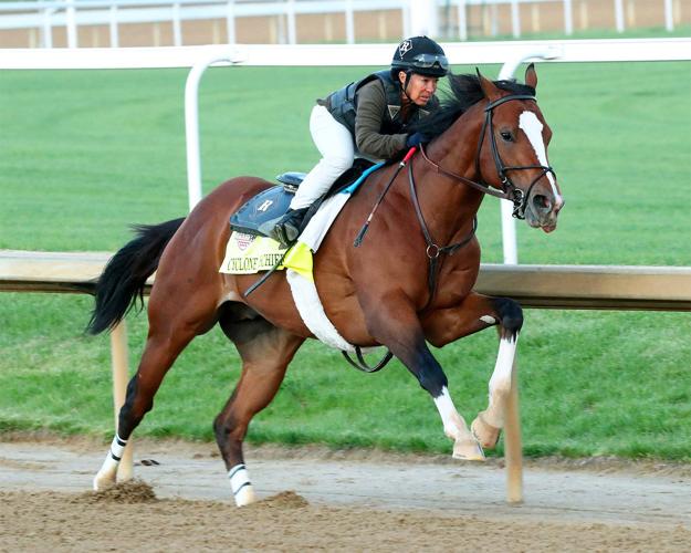 CYCLONE MISCHIEF - COUTESY COADY PHOTOGRAPHY.jpeg
