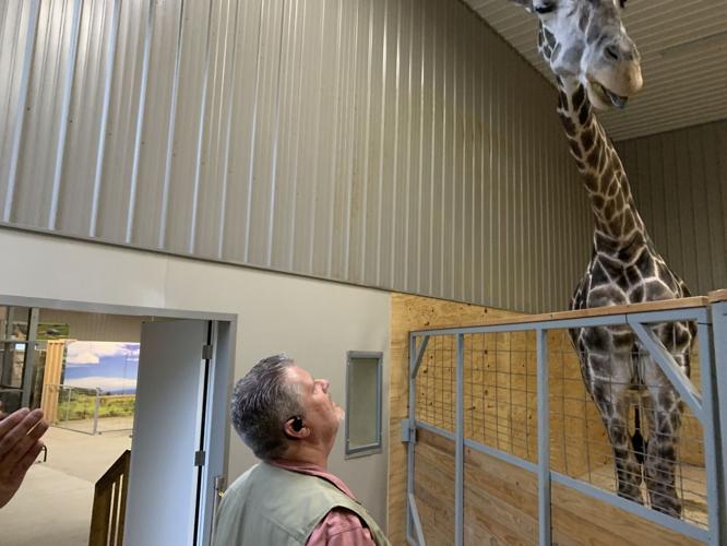 Wilstem Wildlife Park