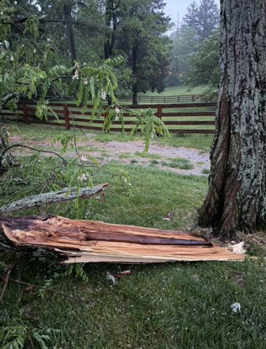 Tree down in Oldham County, Kentucky