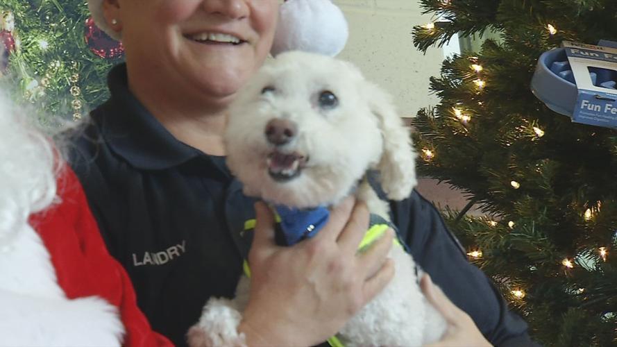 SANTA PICS WITH PETS 12-15-19 (2).jpg