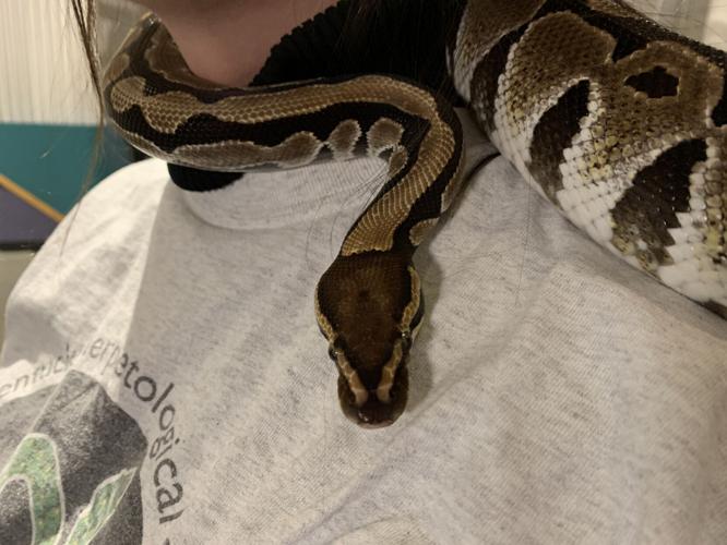 Kentucky Science Center Spooky Halloween