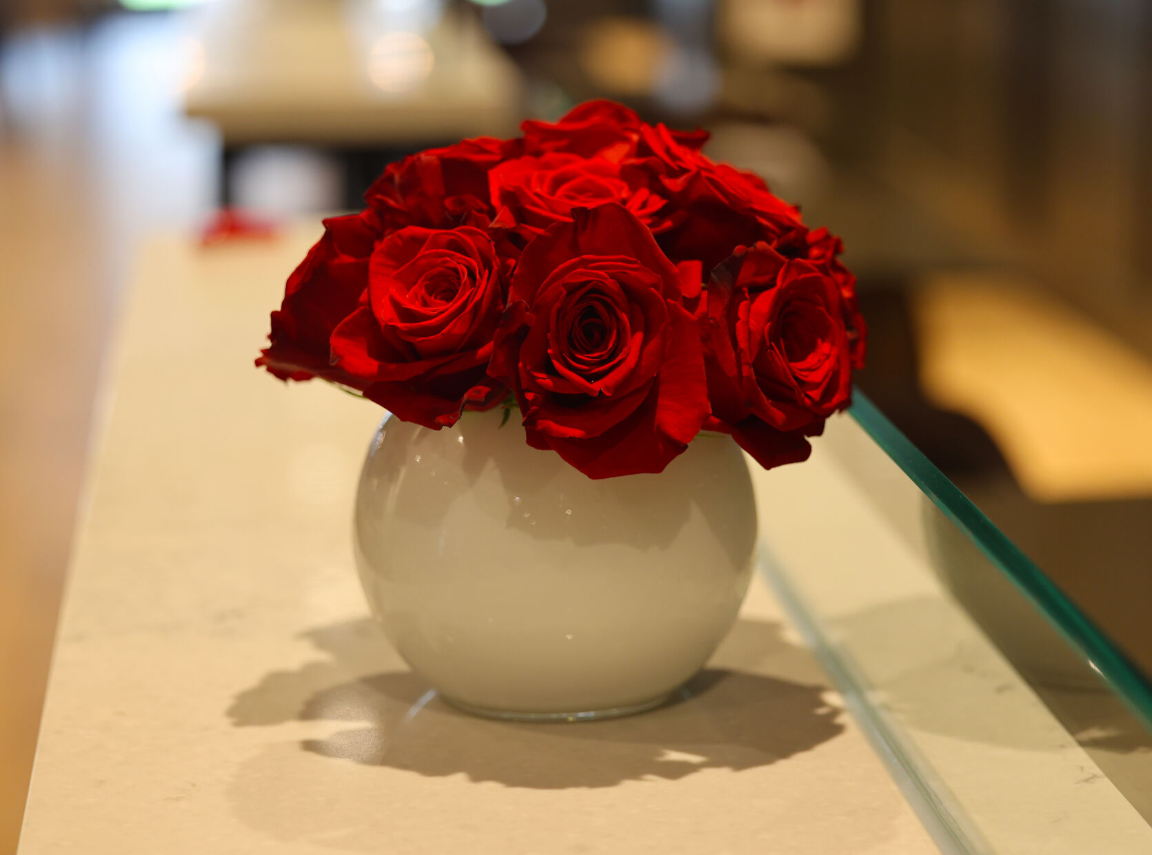 Rose at Churchill Downs for Derby.JPG