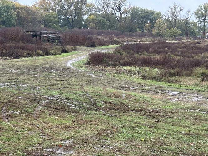 Eva Bandman Park Vandalism.jpeg