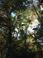 Southwest Louisville park gets makeover