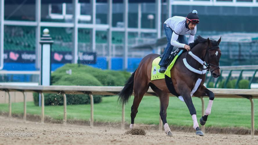 Training - Game Winner